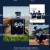 Edt Polo 67
